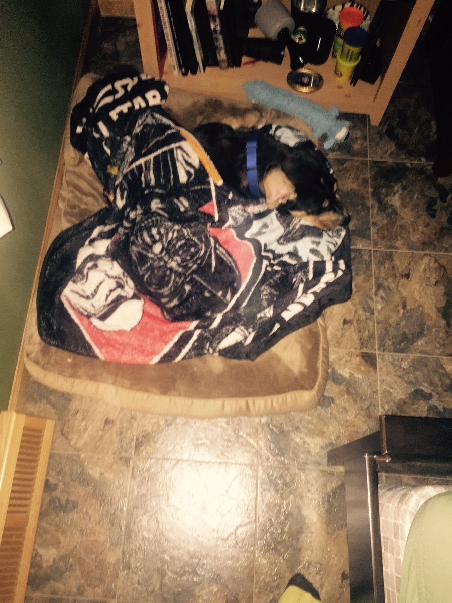 His life is so tough #doglife #heneedstobetuckedin