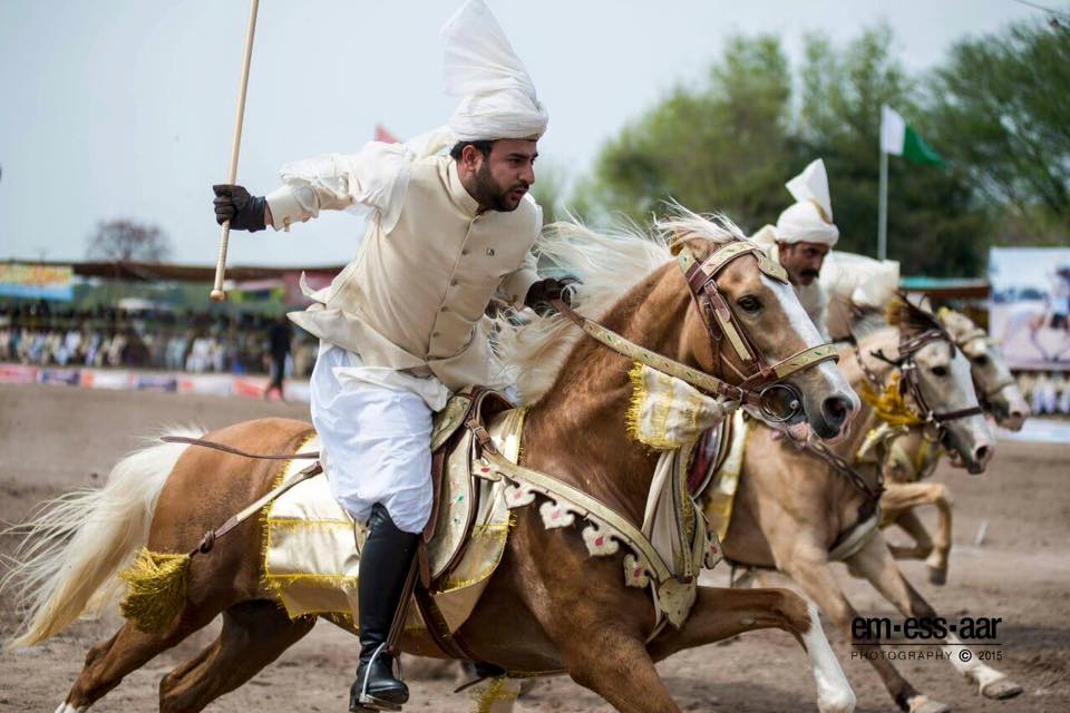 Awan_horse_club's tweet photo. #Sahibzada #Sultan #Bahadar #Aziz #Sahib
Pic by MSR.
@SultanBahadarAz
#TentPegging
#Pakistan https://t.co/4kNmdCN31R