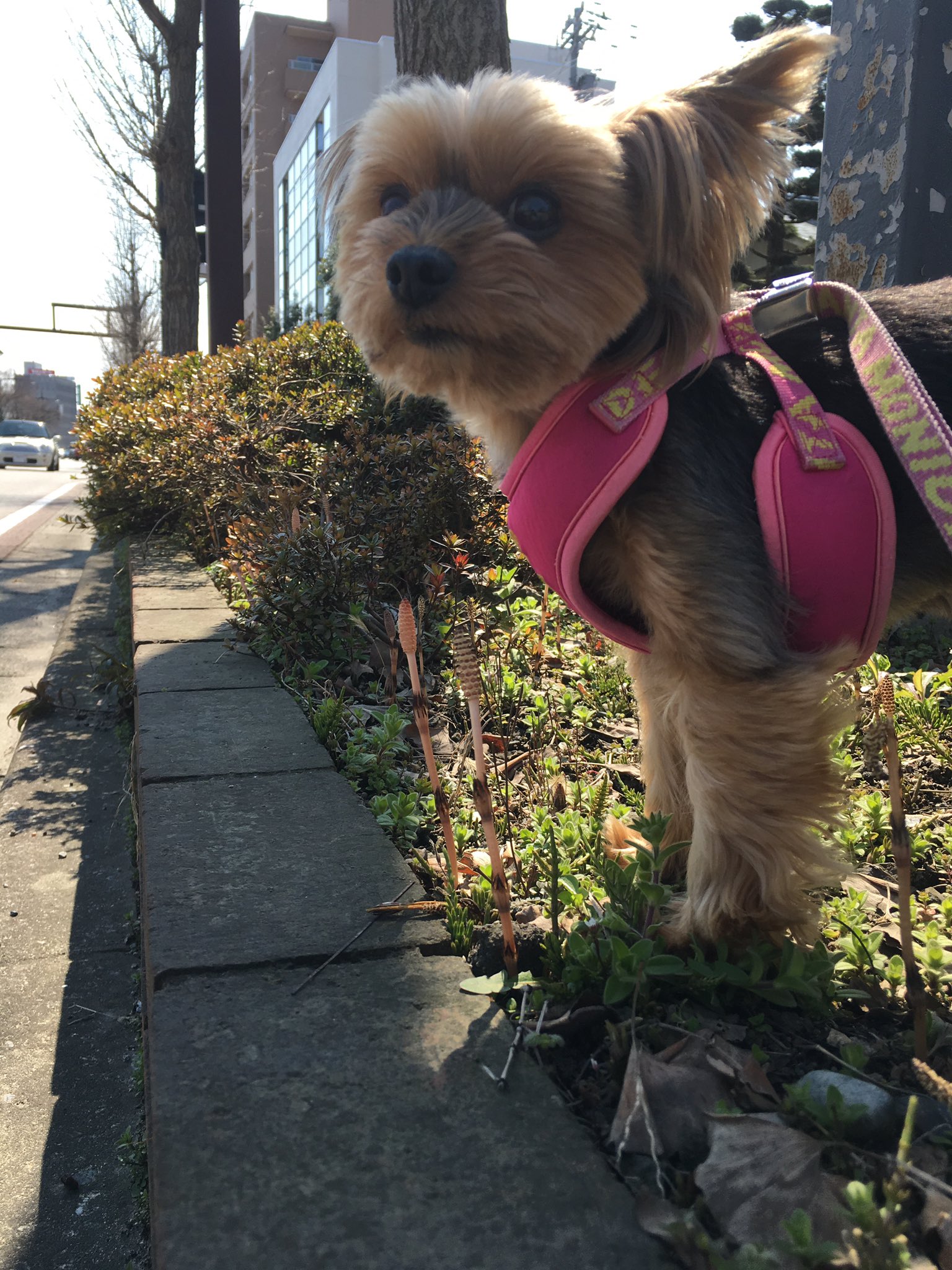 エドウィンドルード Twitter Search Twitter