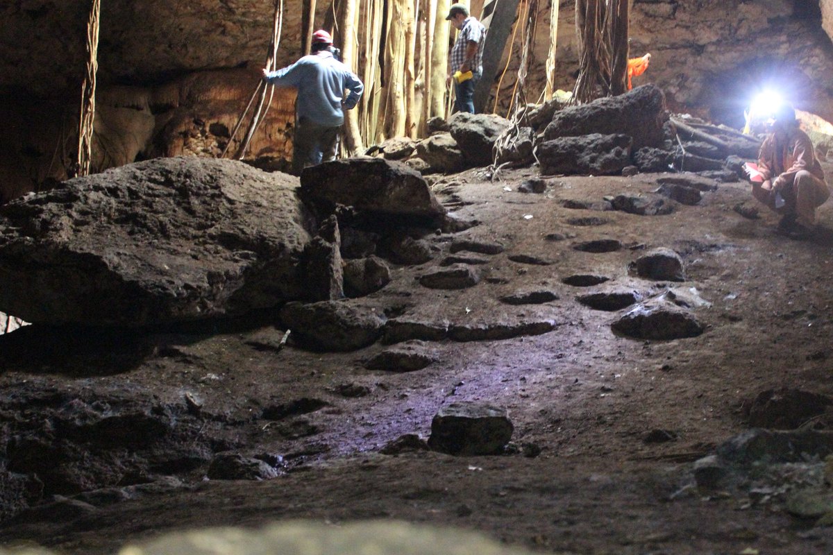aktunmeyaj's tweet photo. Visita a Muul Ch'en, Quintana Roo, Yucatán
encontramos un puercoespín en la #Cueva
#Speleo @Mayas https://t.co/nC6sFqnvCA