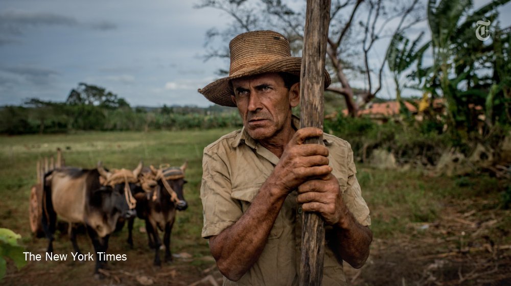 nytimestravel's tweet image. Few places in the world brim with as much life as Cuba. A photo essay from @nytimesworld: nyti.ms/25p4PER