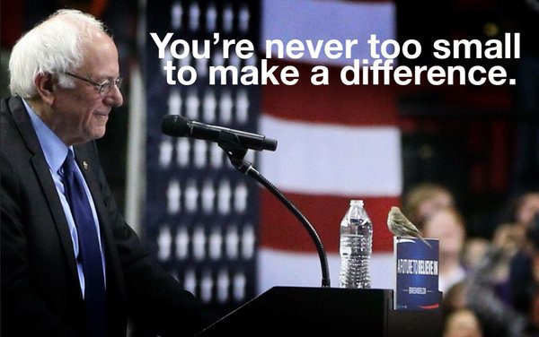 RevoltPolitic tweet picture