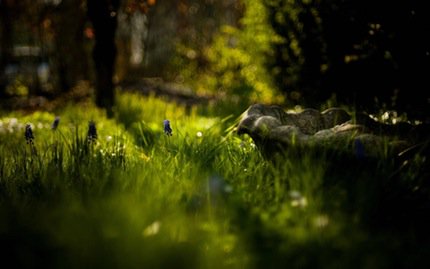 Relaxing World: Create your ambiance and mood using high-quality 3D sounds producthunt.com/tech/relaxing-… via <a href="/akopachov/">Alexander Kopachov</a>