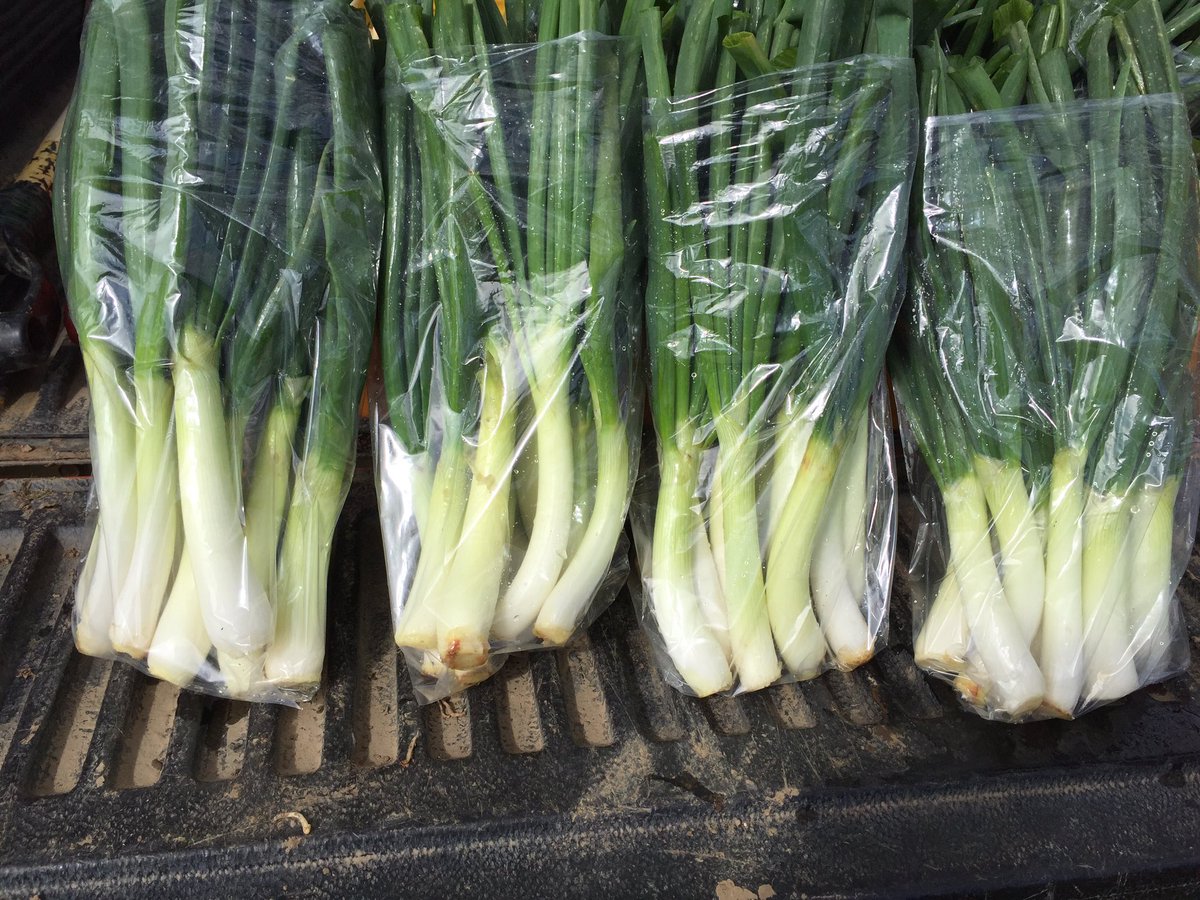 Pablo Munoz Farms (@munozfarms) on Twitter photo 