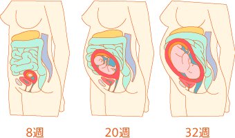 クスクス 32週過ぎてるけど 余裕で羊水がチャップチャプなのに頭下に固定しないんだよね ンモー 検診の時は頑なにヘソの緒しがみつくし 逆子なのはともかく 蹴る場所が私に優しくないのどうにかしよう ゼロ式の牙突を固有の臓器に繰り出すのやめ クスクス 32週過ぎてるけど 余裕で羊水がチャップチャプなのに頭下に固定しないんだよね ンモー 検診の時は頑なにヘソの緒しがみつくし 逆子なのはともかく 蹴る場所が私に優しくないのどうにかしよう ゼロ式の牙突を固有の臓器に繰り出すのやめ