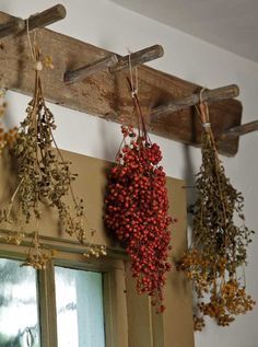 annavixxa's tweet photo. "Fresh dried herbs h https://t.co/T8lIGfEkhV https://t.co/Kek67NcheJ