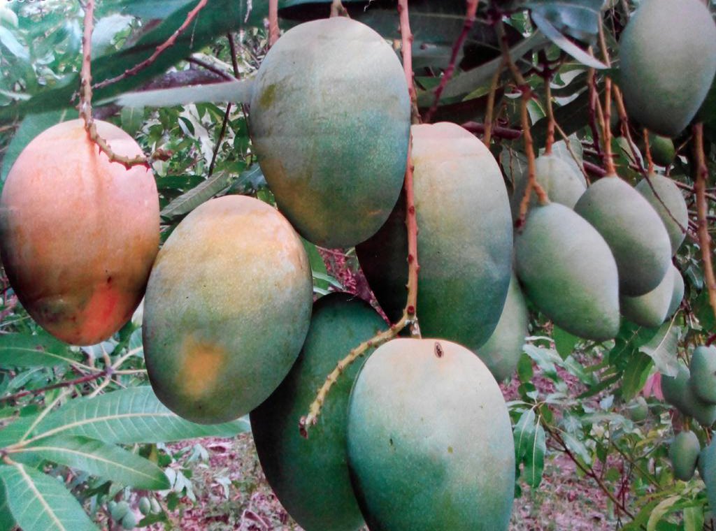 JonayedMd's tweet image. Although it's not da time  #hope_for_best