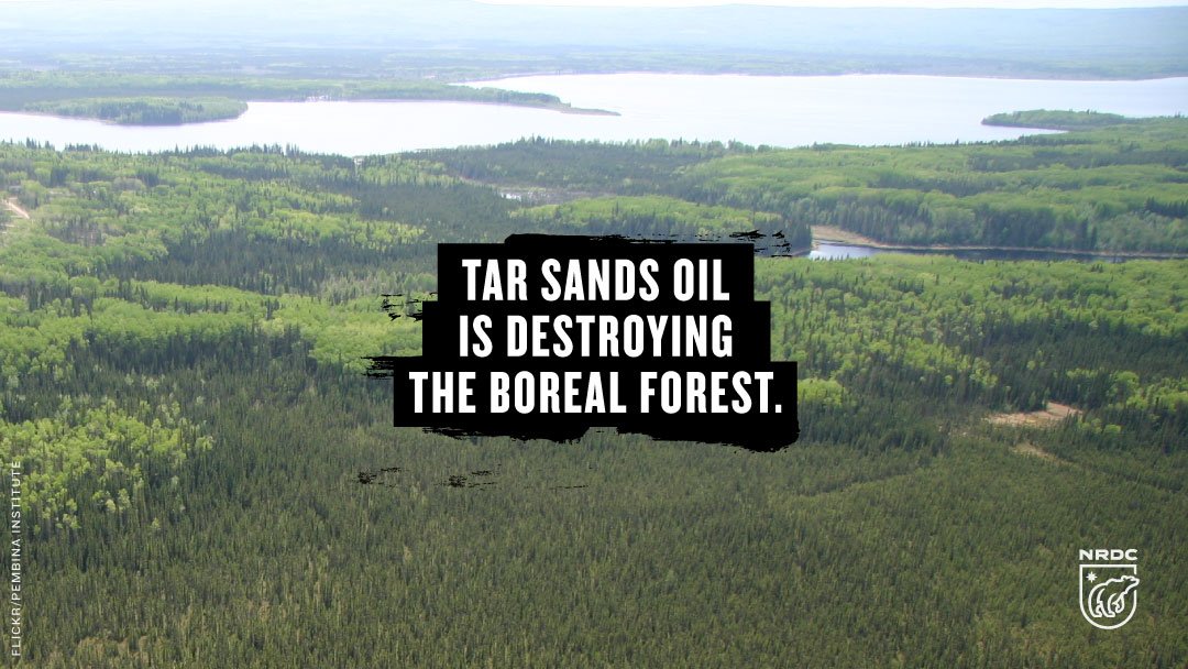 NRDC's tweet image. Don’t let them get away with this! Help us stop the #AlbertaClipper pipeline scheme:  on.nrdc.org/1S9KVnB