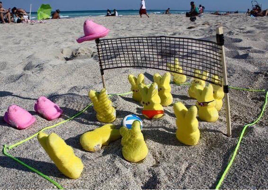 Happy Easter Volleyball peeps 🐣🐰🐥🏐