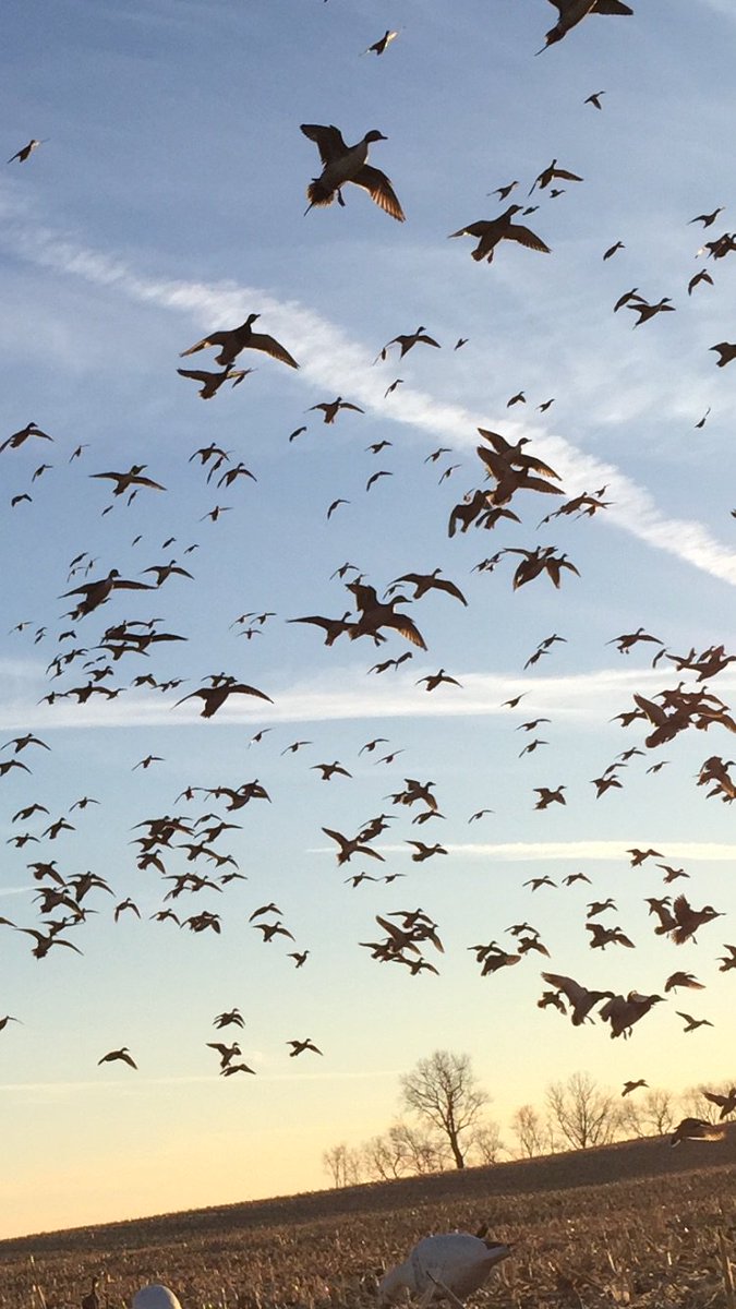 Is this what your dreams look like? 
<a href="/IraMcCauley/">Ira McCauley</a> @RNTJimBo <a href="/AveryGHG/">Avery Outdoors, Inc.</a> <a href="/RNTCalls/">RNT Calls</a> <a href="/MojoOutdoorsTV/">Hannah Scott</a> <a href="/SitkaGear/">Sitka Gear</a> <a href="/Realtree/">Realtree</a>