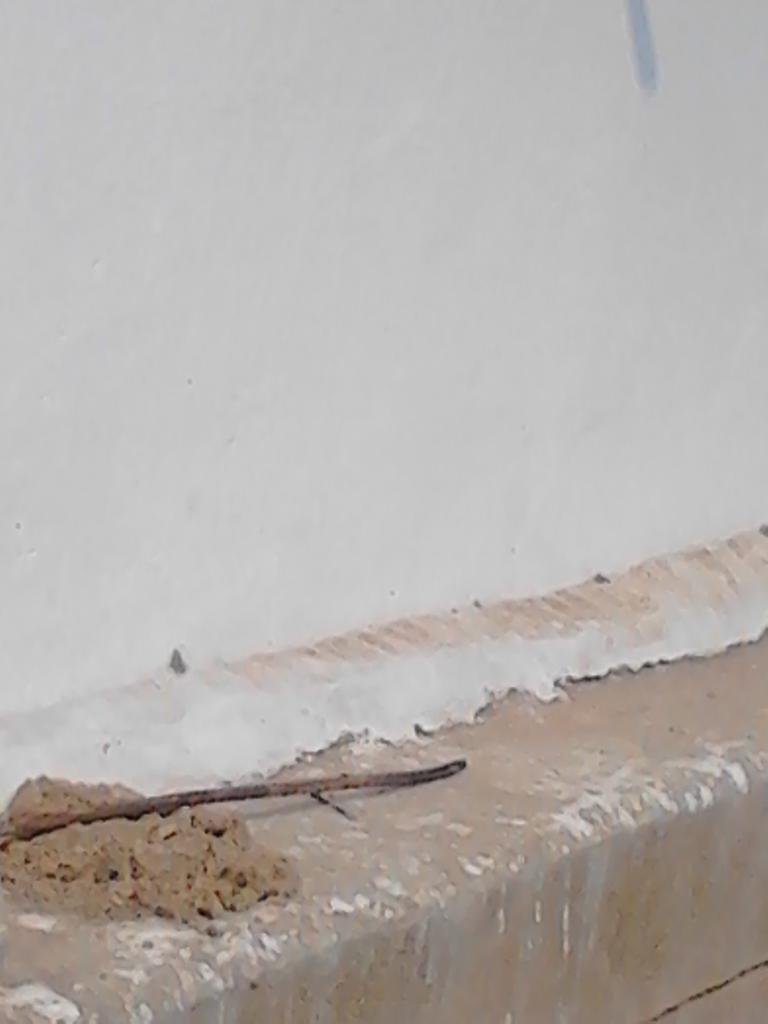 rajkmishra7's tweet image. 