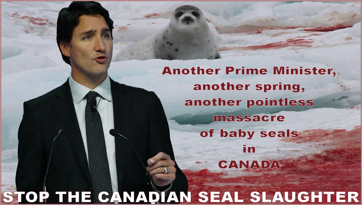 petethepunk's tweet photo. @JustinTrudeau
@leabaldwin
@rextyler2
@ClaudiaFerri13
STOP THE CANADIAN SEAL SLAUGHTER!! https://t.co/6BsoKhucjl