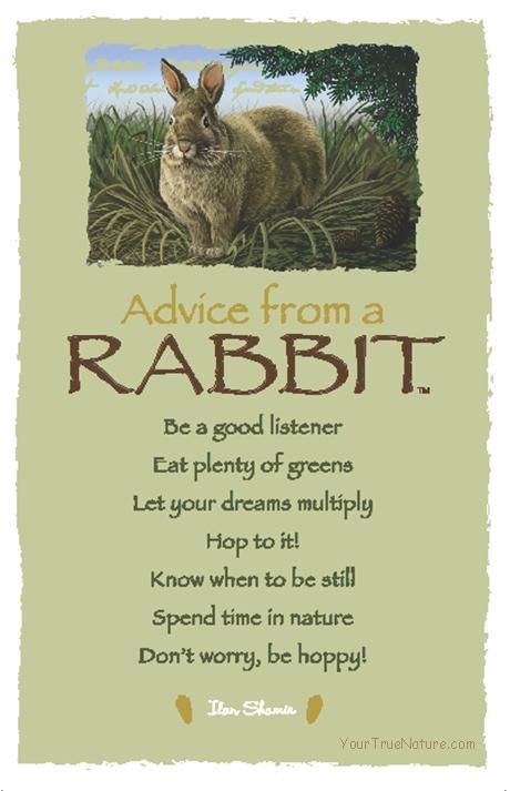 Trish82653684's tweet photo. Happy Easter https://t.co/uQCsnxdSWR