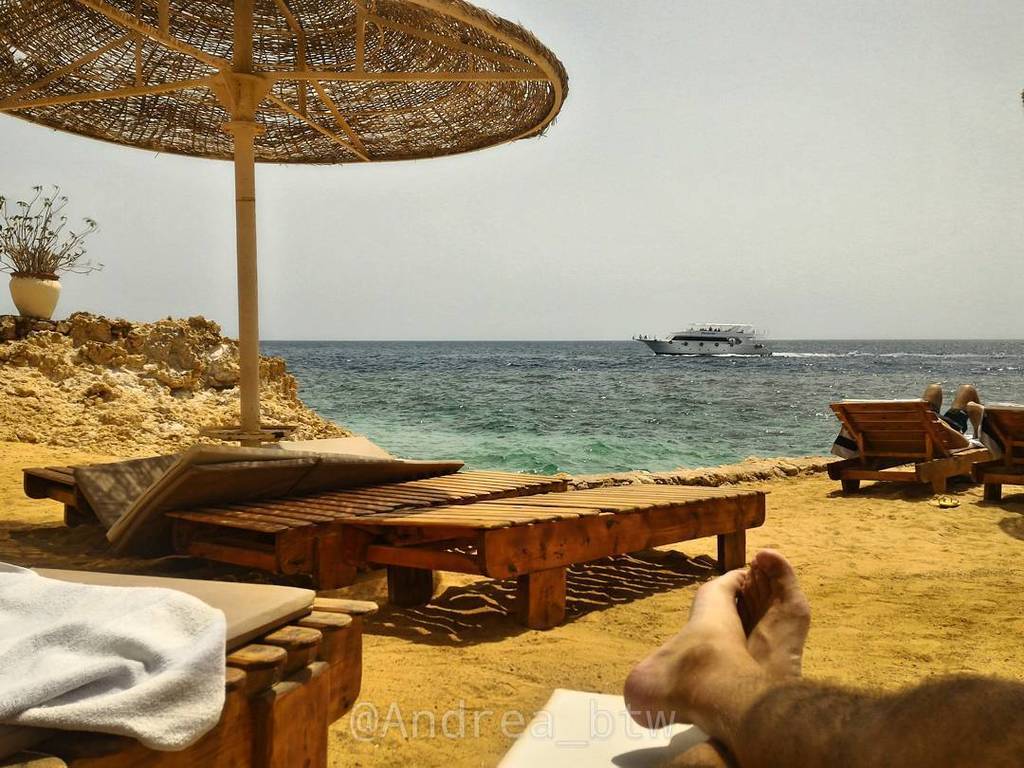 Andrea_btw's tweet photo. #lazy #lazyday #beach #sea #elfanar #Egypt #Sunday #SINAIexclusive #happyeaster #easter #sun #redsea #nofilter #pic… https://t.co/0T4kwRWFaK