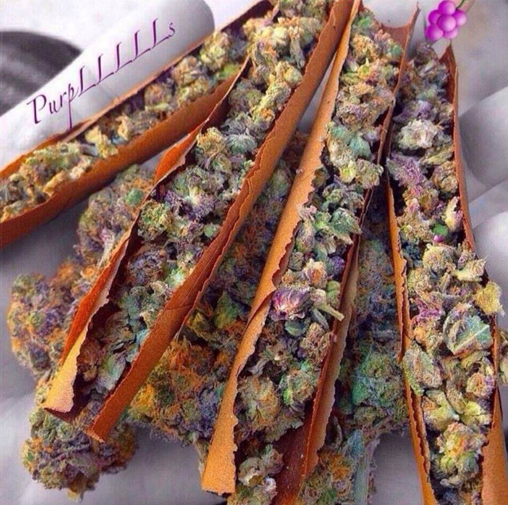 smokecana's tweet photo. So sweet 
#purple https://t.co/lsc5hqK55s