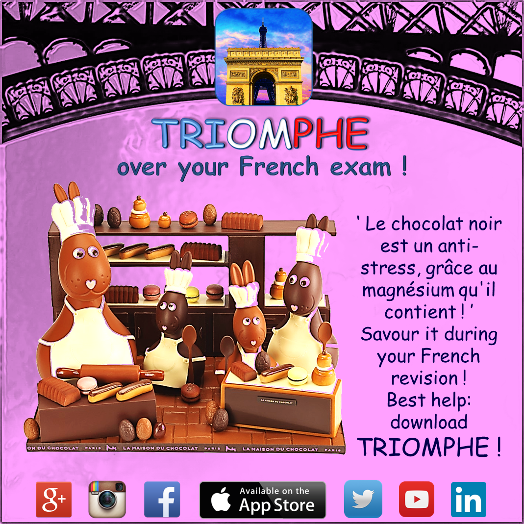 MyTriompheApp's tweet photo. #Learn #French #Language with your #app #TRIOMPHE on #ipad #iphone for #GCSE #MFL #FLE #DELF #ALevel #IB #revision https://t.co/XoYGrbU95d