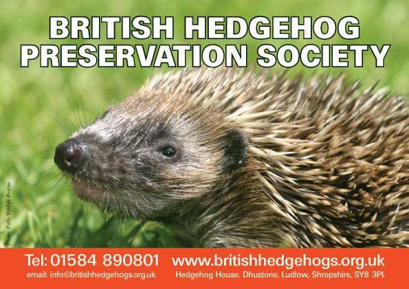 hedgehogsociety's tweet photo. Happy Easter! No choc for hedgehogs please but hedgehog food, meaty pet food or chopped unsalted peanuts &amp; water R/T https://t.co/TLYtjRSWZr