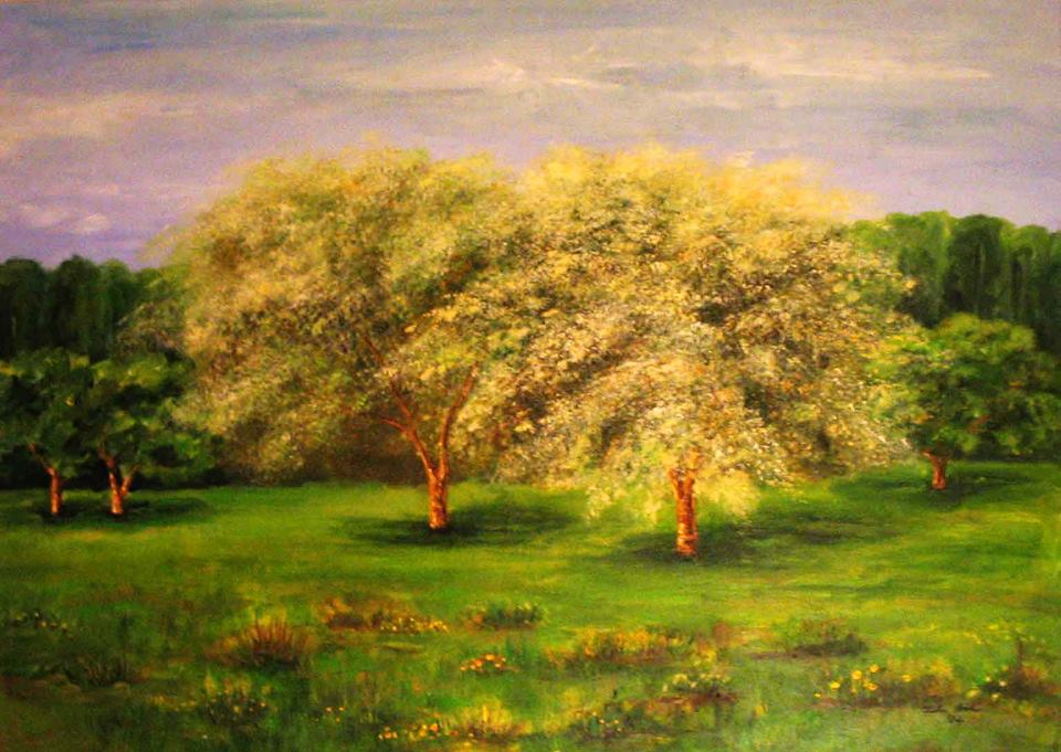 WildLinesART's tweet photo. https://t.co/V9aoXKrJiN https://t.co/sXFotcueVu