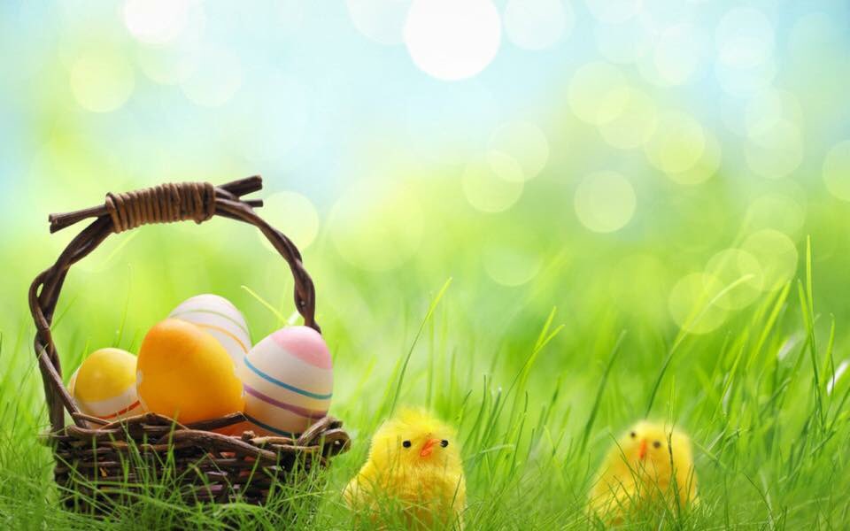 fox_pub's tweet photo. Happy Easter, from everyone at The Fox. #Easter https://t.co/Buar69V8rJ