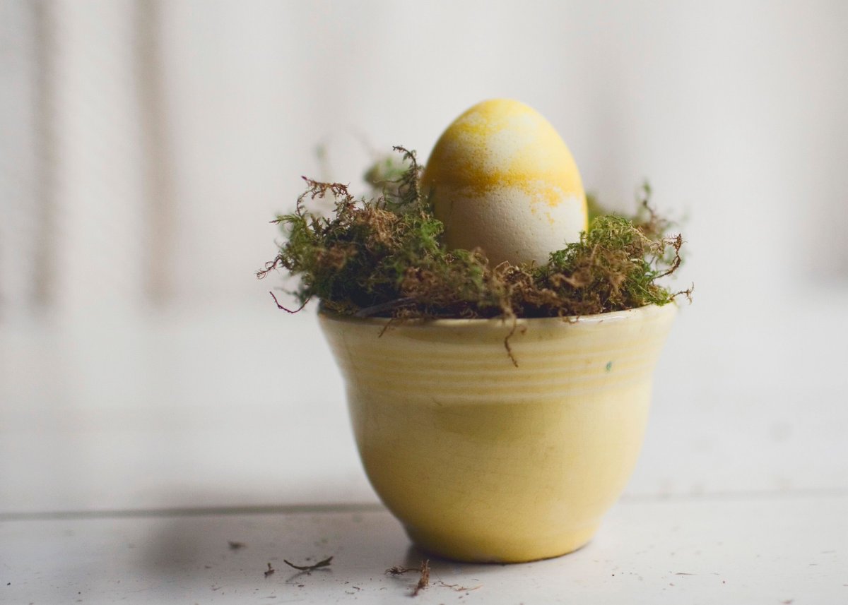 clefieldkitchen's tweet photo. Wishing you a relaxing and happy Easter from The Cleveland Field Kitchen! https://t.co/heP2z4ykz4