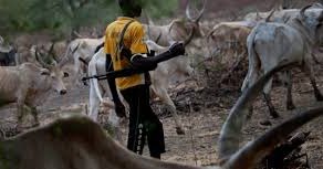 thebiafratimes's tweet photo. Enugu community decries arrest of 76 villagers after feud with Fulani herdsmen -vanguardngr https://t.co/jypqB98waD https://t.co/xNBlI5f6oV