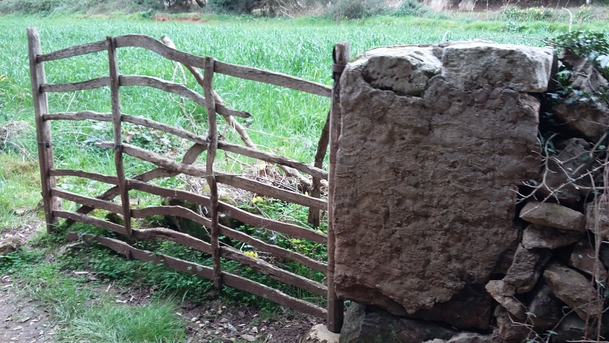 MingoSegui's tweet image. Barrera#Cantonada