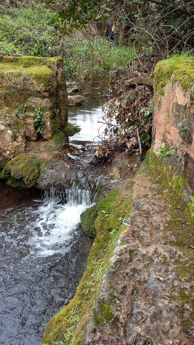 MingoSegui's tweet image. Volta per es barranc d'Algendar