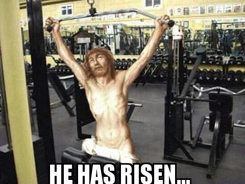 _ZamaMvulane's tweet photo. He has risen...#HappyEasterSunday #gymrats #gymislife #gymlife #bodyengineers #zonebeasts #virginmonsters https://t.co/KTaCQLYnRG