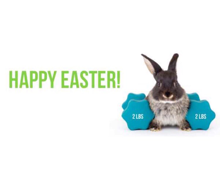 multigyms's tweet photo. Happy Easter! https://t.co/2iEjlNWWqz