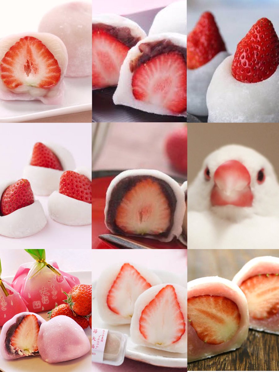 Nagaty Pa Twitter 文鳥といちご大福は似てる W T Co 3fehqkgsrs