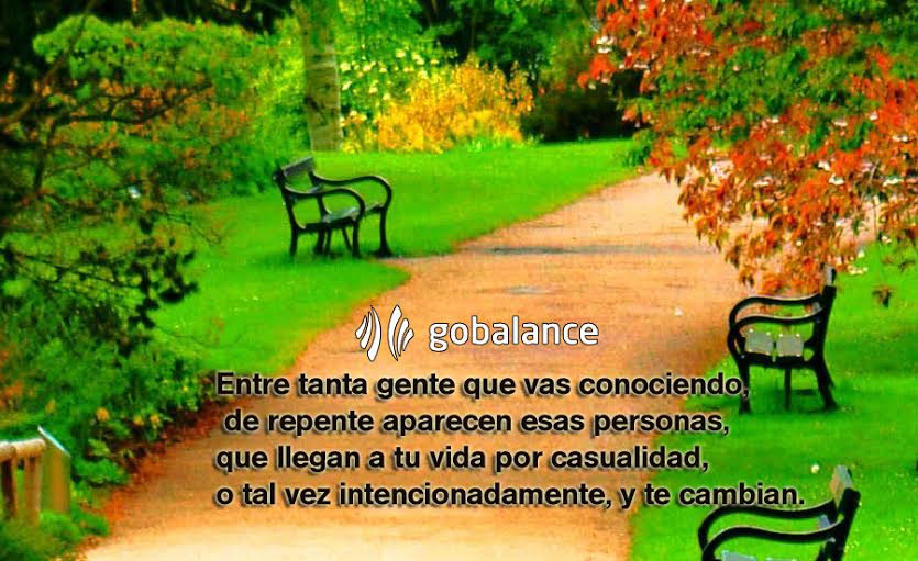 gobalanceworld's tweet photo. #GoBalance #Coaching #mind #salud #Nutrición #Deportes #Entrenador #fitness #Health #Heal https://t.co/3dIVCU6C6I https://t.co/zz4ywYKvsn
