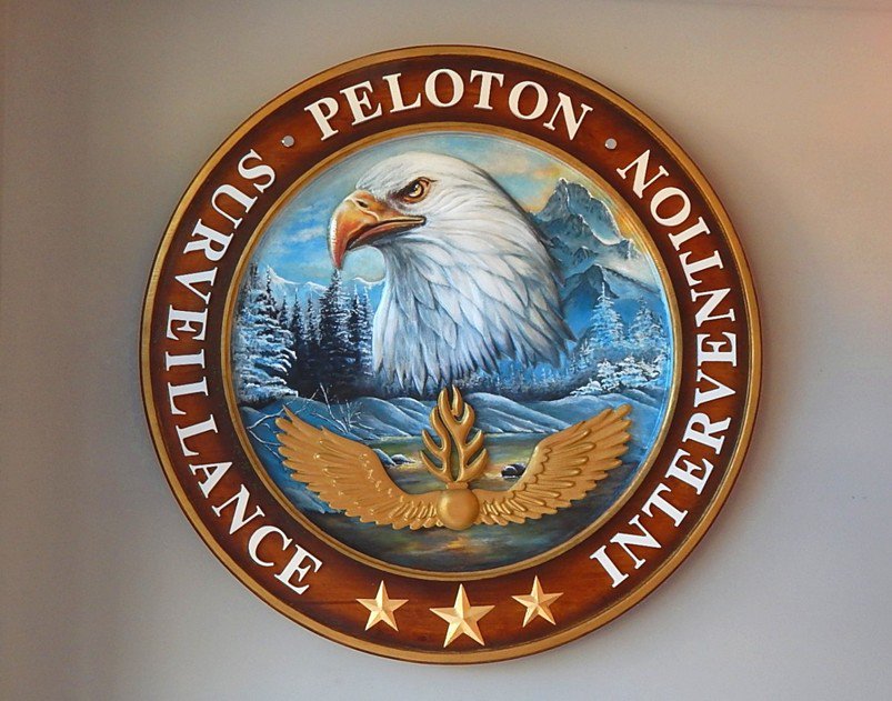 sascombigraf's tweet image. Nouvelle emblème du PSIG de Jausiers, entièrement peinte à la main.