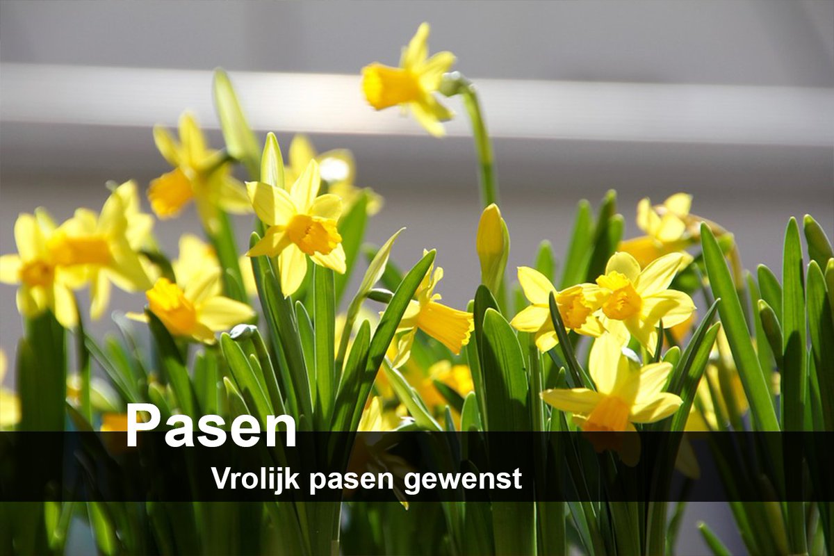 brusselslof's tweet photo. Het is vandaag paaszondag. Tijd voor een heerlijke brunch met eieren, verse jus, zelfgebakken brood en chocolade :-) https://t.co/cZuNg78MUI