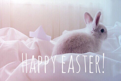 Lenitherockr's tweet image. #HappyEaster