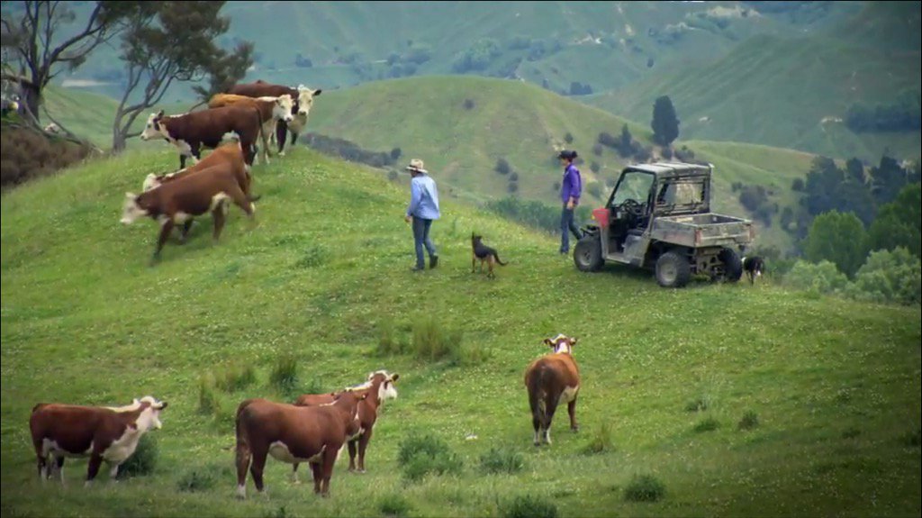 J0hannaScott's tweet photo. Caught up on an awesome episode of #CountryCalendar tonight. Good one @GemmaHain and @theofficenz! You guys rock! https://t.co/LexMpsPsyF