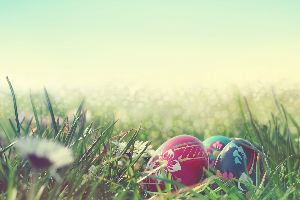 DFS's tweet photo. Happy Easter everyone! The fourth and final clue of #DFSEaster is coming soon https://t.co/3By48POOwF