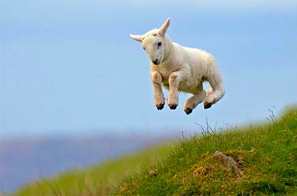 We hope you're jumping for joy this Easter Sunday. Enjoy!