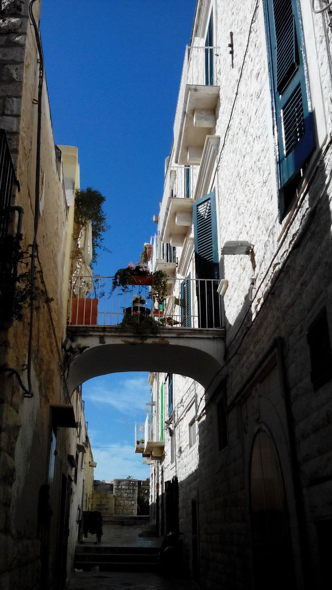 studioarproject's tweet photo. Centro storico di Molfetta. https://t.co/EniAnrIGjj