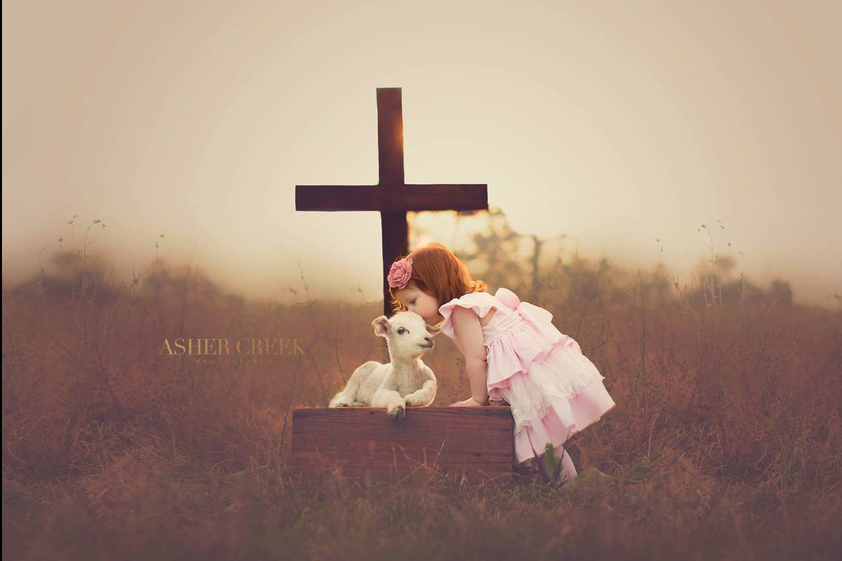 MinaandMax's tweet photo. Happy Easter Wishes For All! ( by Asher Creek Photography lamb with cross) #HappyEaster #lamp #animal #love #cross https://t.co/DJLwuoi3YD