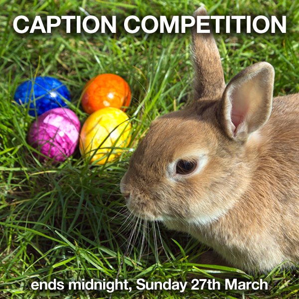 Cooksongold's tweet photo. Today you could #win a hamper of ImpressArt goodies! How to enter and T&Cs here: https://t.co/mgy1BDE8h7 #CGeaster https://t.co/FEV5UPyfl5