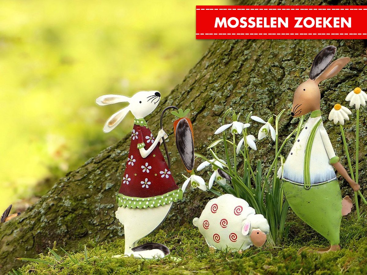 In plaats van eieren, zoeken wij liever naar mosselen! Kun jij alle mosselen vinden? Hint: het zijn er 5. #Pasen