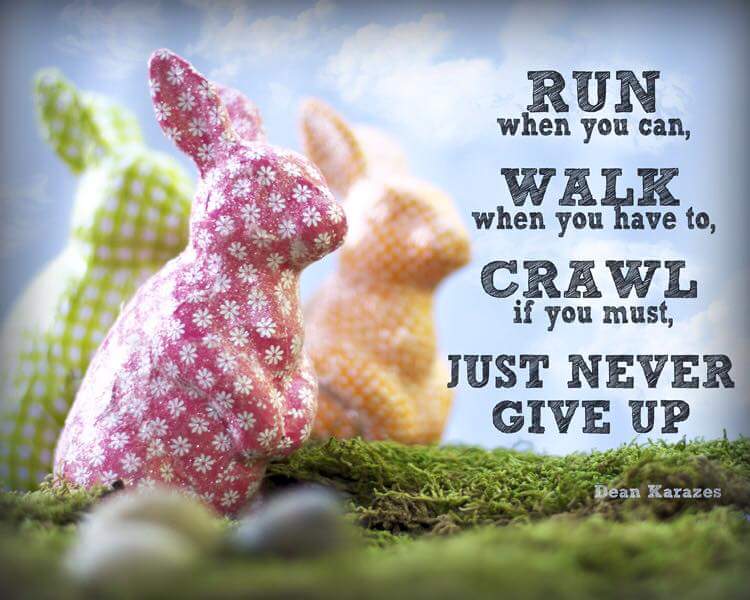 hamszilla's tweet photo. @OksanaGrishina Happy Easter https://t.co/RYiEkwrBXG
