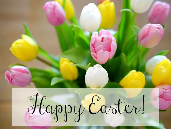 branddesign_lab's tweet photo. Happy Easter Everyone! #Easter #Easter2016 https://t.co/hUYOYipuDD