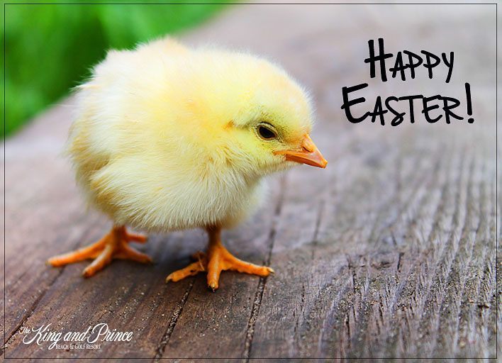 kingandprince's tweet photo. Happy Easter, from our family to yours! 🐇🐇🐇 #kingandprinceresort #happyeaster #stsimonsisl… https://t.co/8gkEqD2fDf https://t.co/qlOPJjbYmI
