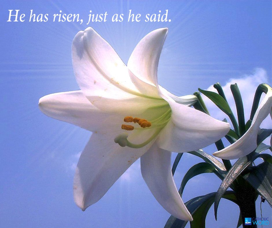 Catholic_Word tweet picture