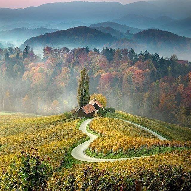 Steven Webb (@_stevenwebb) on Twitter photo 