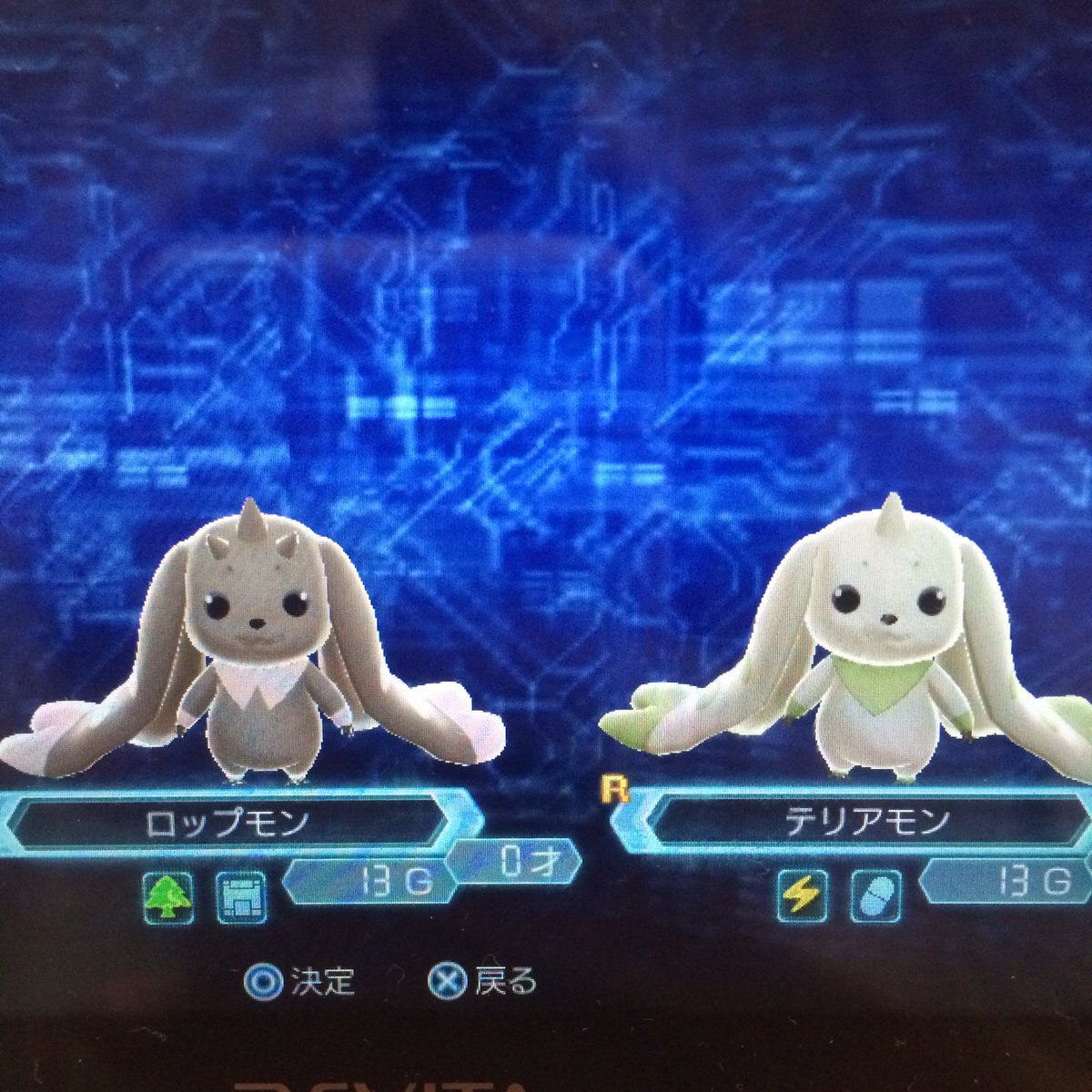 ユウリ Diginext0rder Twitter ユウリ Diginext0rder Twitter