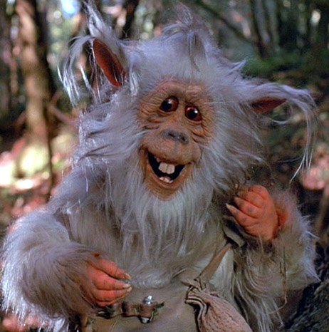 NickyFranchise4's tweet photo. @WHMPodcast Caught a glimpse at the Easter Bunny last night. Not what I expected. #DAMNRABBIT https://t.co/3OIbNsJtMx