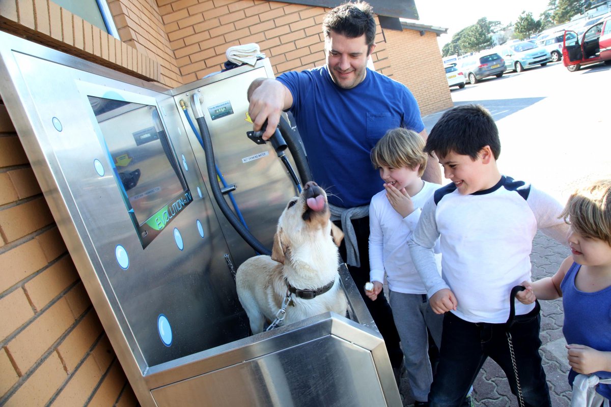 Now you can wash your dogs after they've been in the sea without the fuss... bit.ly/1RHRp2v