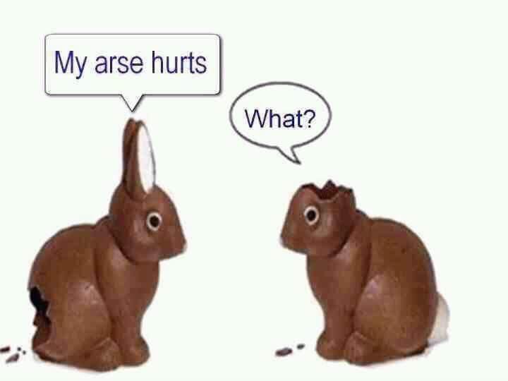 forgetmegifts's tweet photo. Happy Easter from #ForgetMeNotGifts enjoy lots of #chocolate #eggs https://t.co/yyapAVv4sG #Cardiff2016 https://t.co/ZW2983zNqz